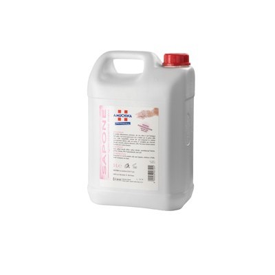 Sapone igienizzante mani Amuchina 5L