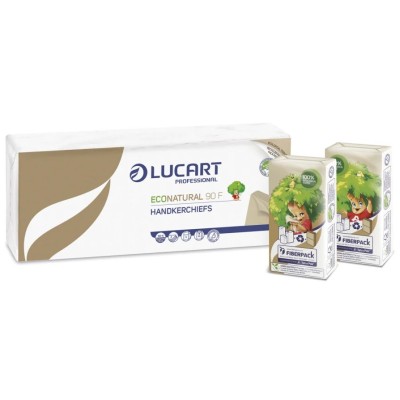 00435 CF.10 PACCHETTI DI FAZZOLETTI ECONATURAL