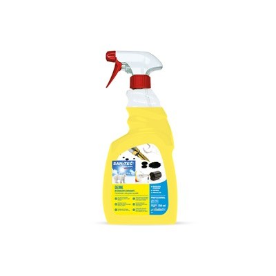 Detersolvente sgrassante Deink 750ml 1884S Sanitec