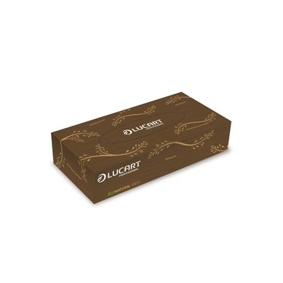 100 Veline multiuso Econatural Lucart